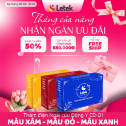 THẢM ĐIỆN NGẢI CỨU ĐÔNG Y LETEK EB-01, GIẢM ĐAU NHỨC CƠ THỂ -  GIÚP GIẤC NGỦ NGON